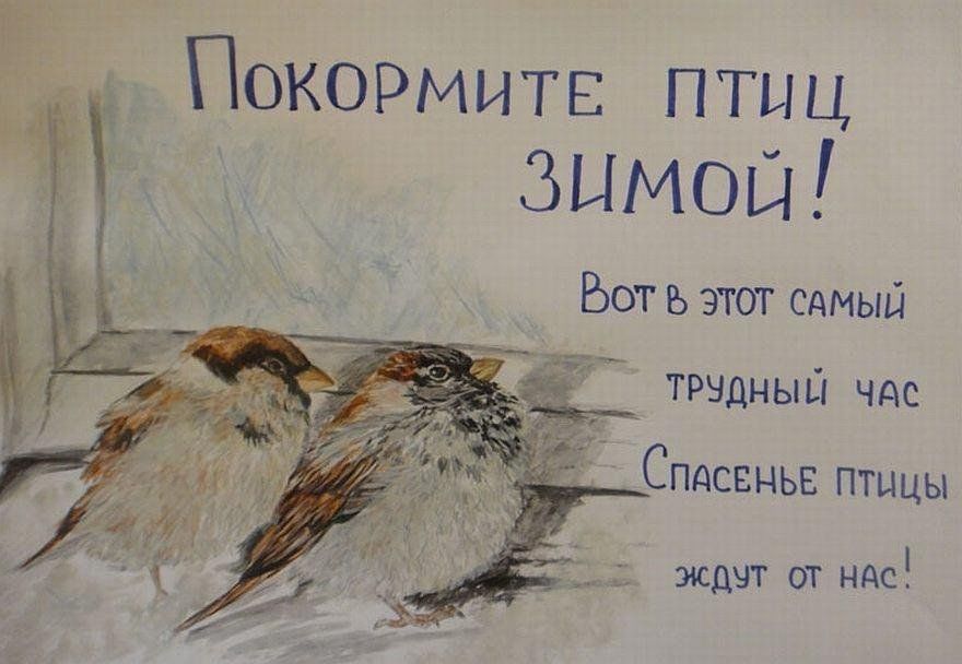 Проект про птиц зимой