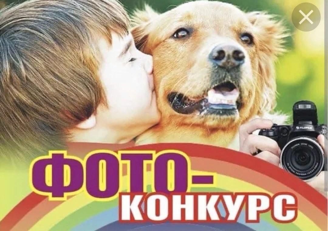 Мой питомец ул 1 мая 101 фото