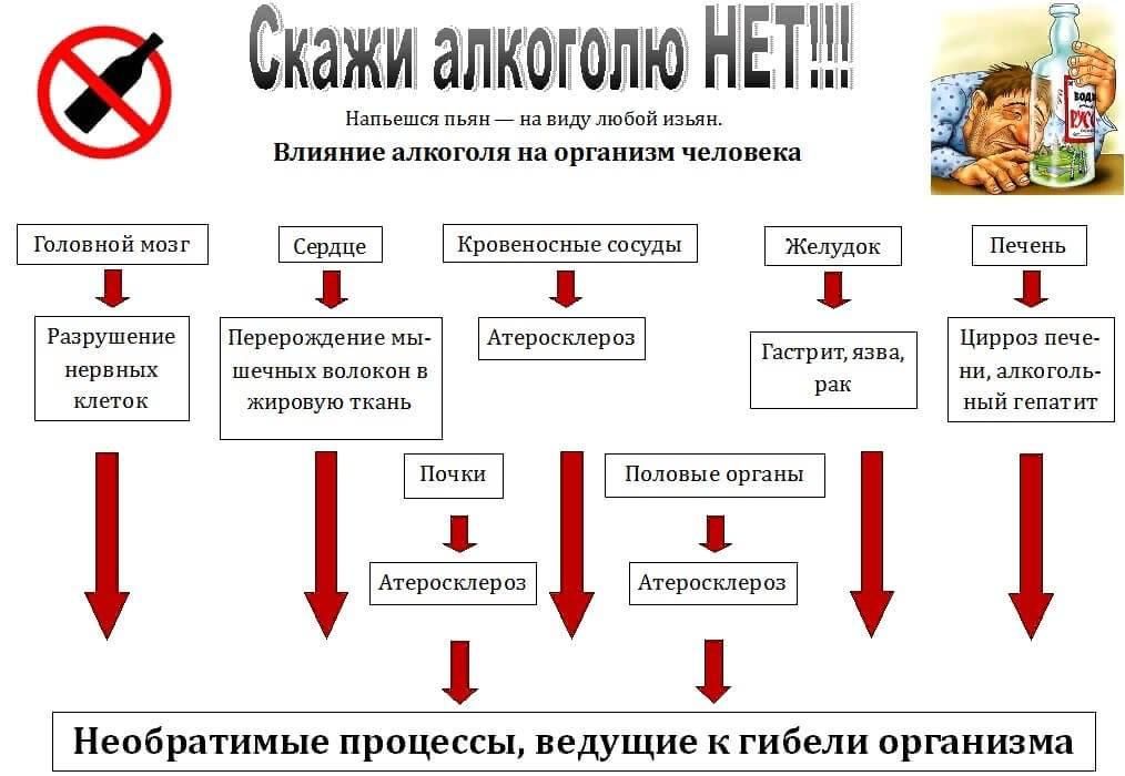 Итоговый проект влияние алкоголя на организм человека Разговор о вреде алкоголизма 2022, Мамадышский район - дата и место проведения, 