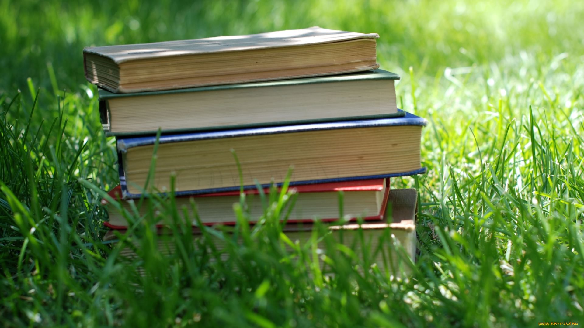 Картинки на книгу