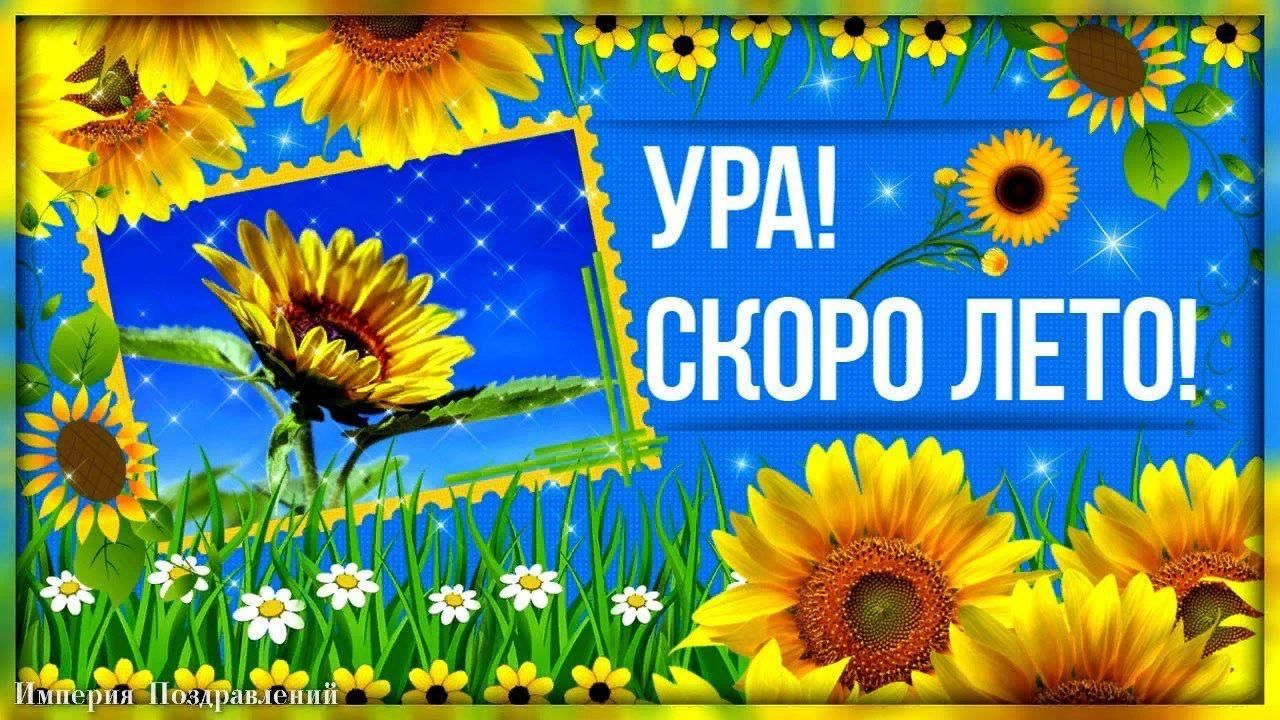 Картина ура лето