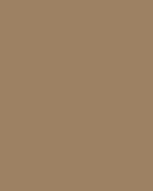 Жорж Мишель. Открытие балета «Парад» в Париже (фрагмент). 1917. Музей изобразительных искусств (Почетного легиона), Сан-Франциско, США