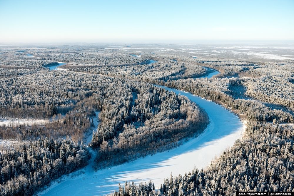 Нижневартовск область край. Ханты-Мансийский автономный округ - Югра. Природа Ханты-Мансийского автономного округа Югры. Юганский заповедник ХМАО. Сибирь Ханты-Мансийск.