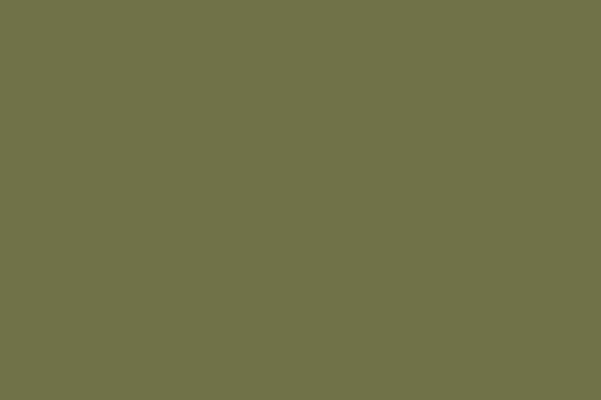 Долина гейзеров. Кроноцкий заповедник на Камчатском полуострове. Фотография: Юлия Машкова / Фотобанк Лори
