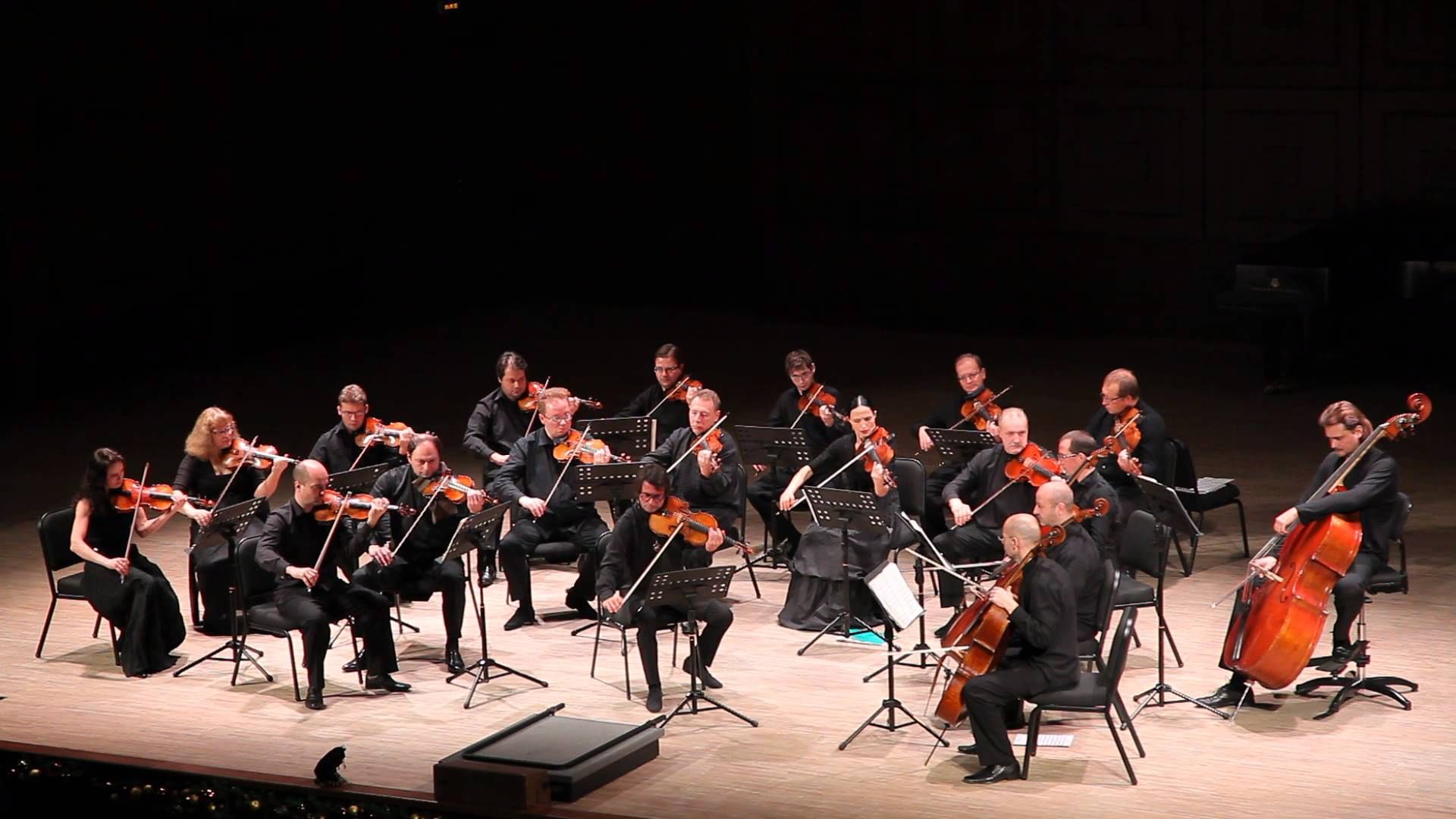 оркестр ансамбль солист