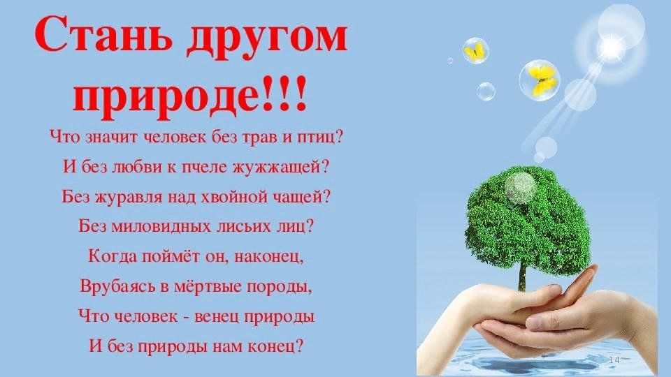 Окружающий мир 2 класс будь природе другом презентация 2 класс