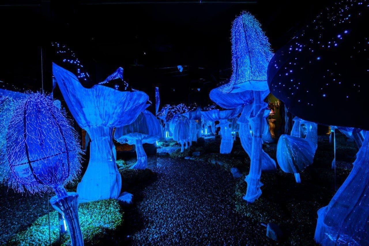 Magic park