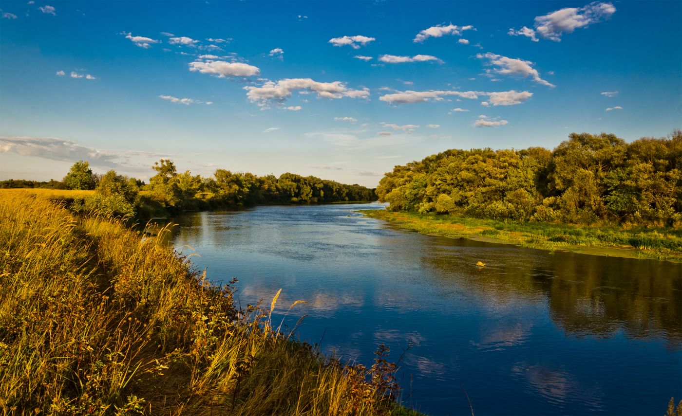 Город на реке десна