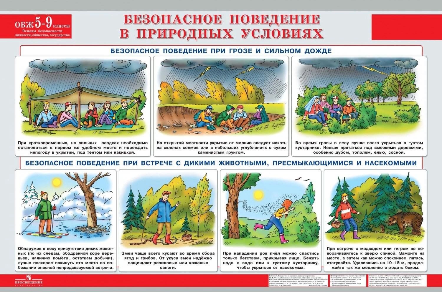 Беседа «Безопасность на природе» 2023, Алексеевский район — дата и место  проведения, программа мероприятия.