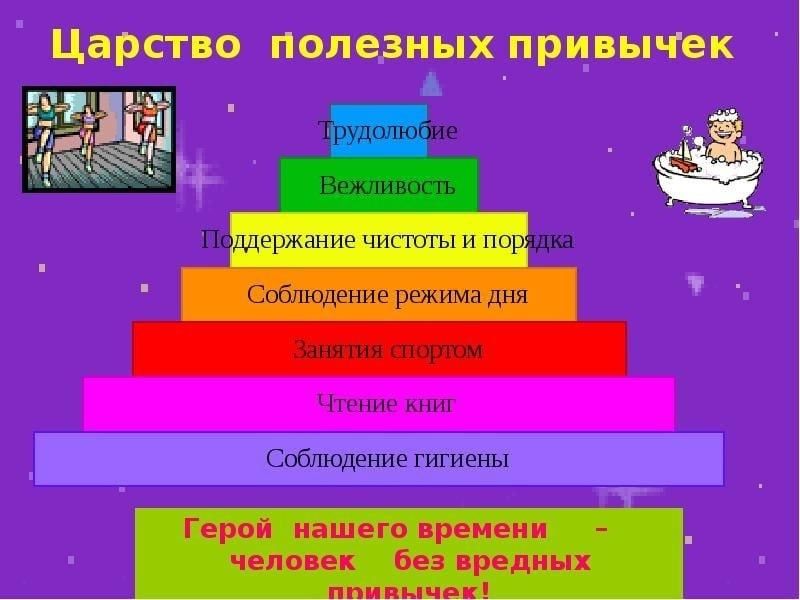 Проект привычки в жизни человека