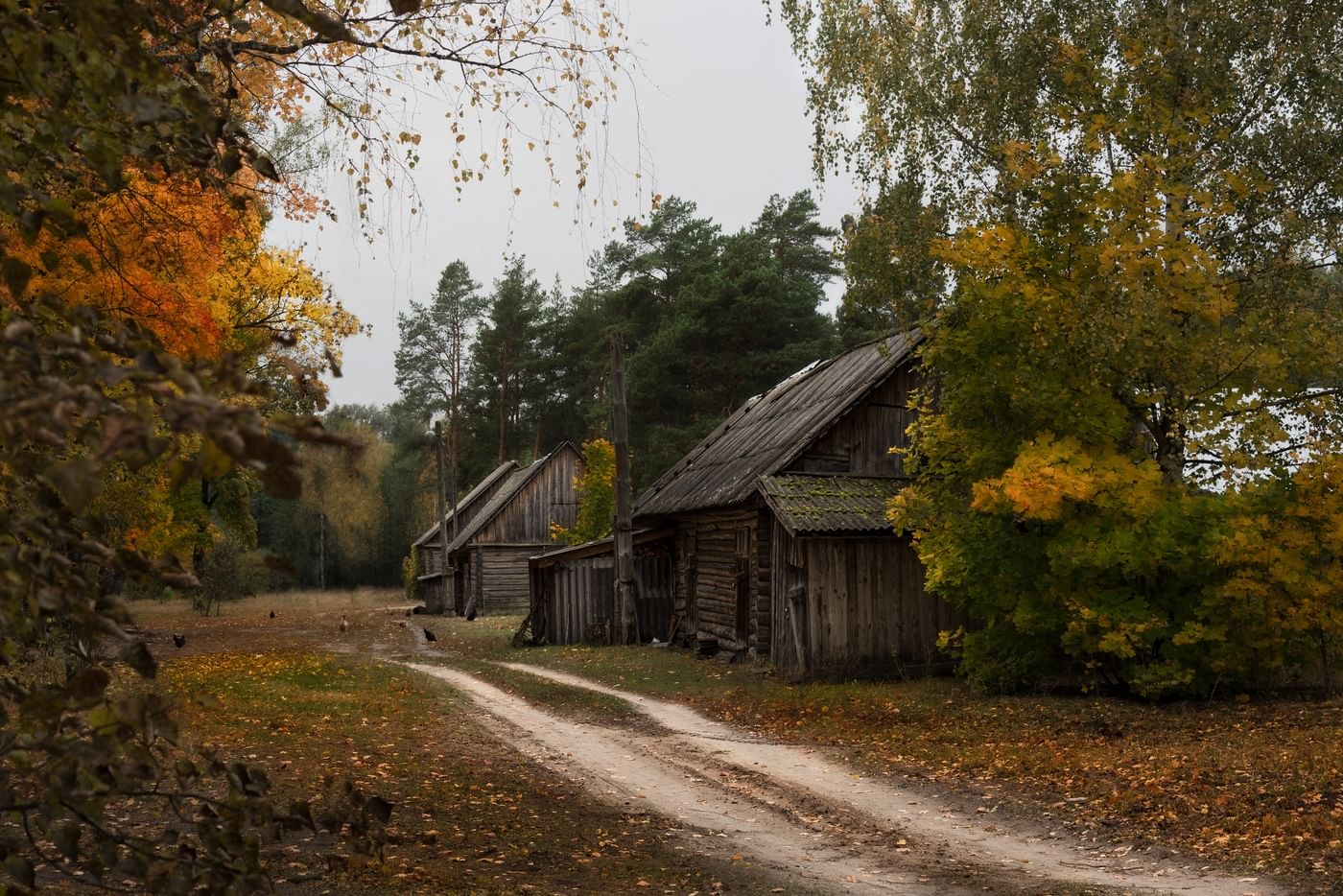 Ездила деревню. Тверская деревня осень. Деревня домик осень двор темень. Деревня осенью. Поздняя осень в деревне.