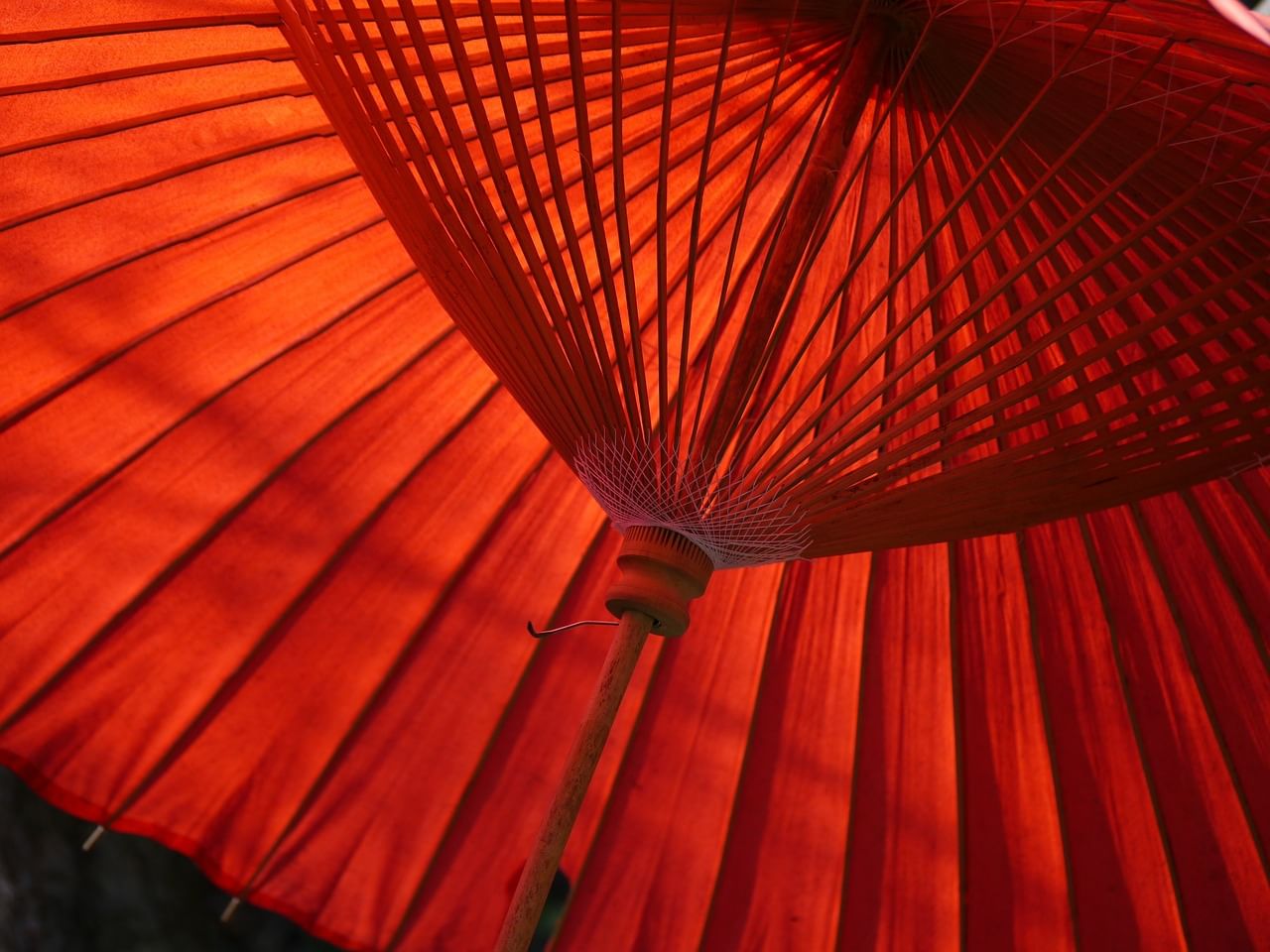 Японский зонт Эстетика