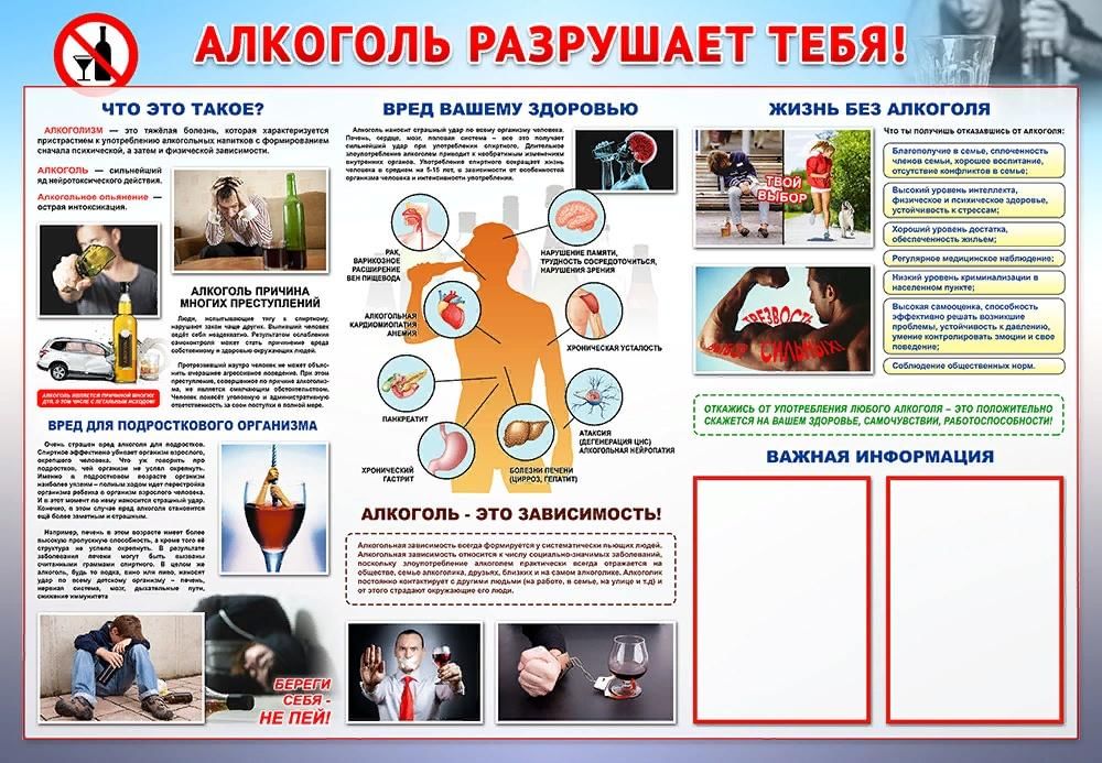 План мероприятий по профилактике алкоголизма в школе