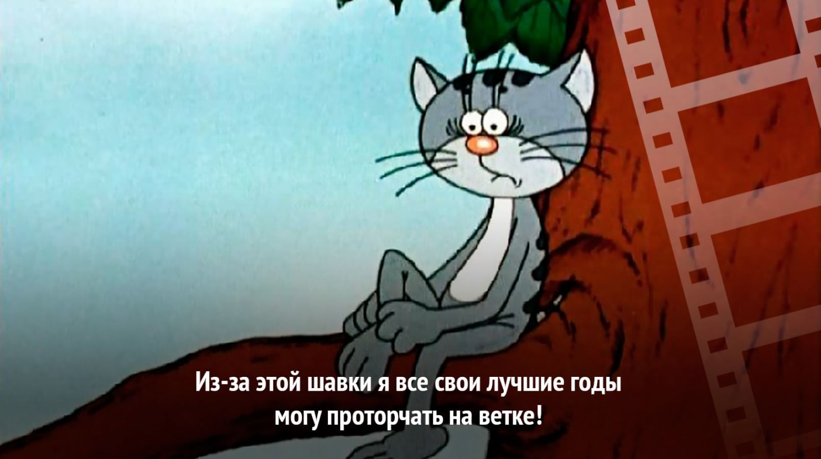 Котенок с улицы Лизюкова кот Бегемот