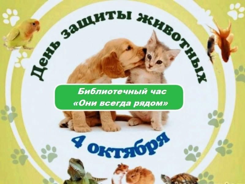 Международный день животных. Акция ко Дню защиты животных. Акция Всемирный день животных. Неделя защиты животных. Мероприятия ко Дню защиты животных.