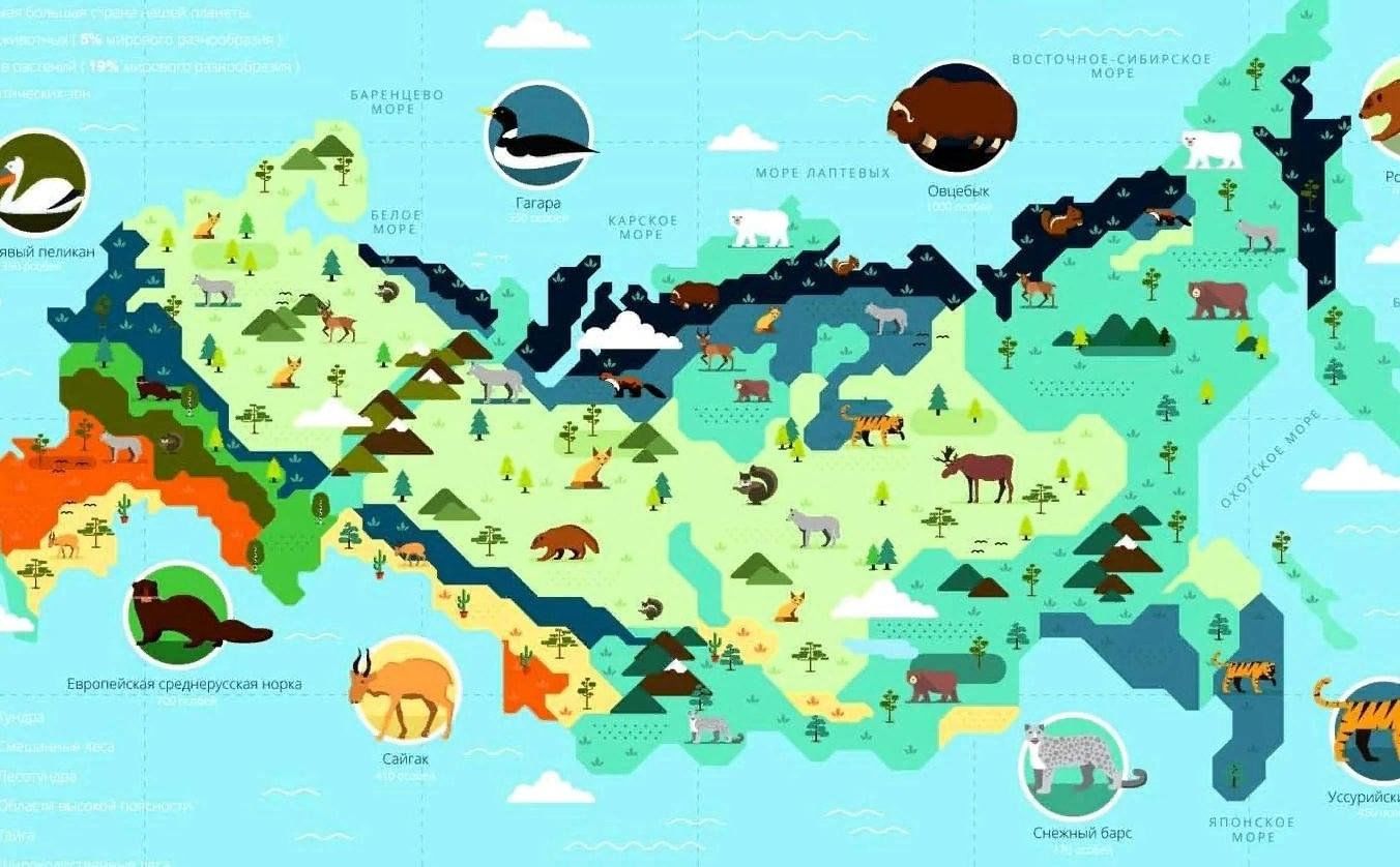 Примеры где в россии