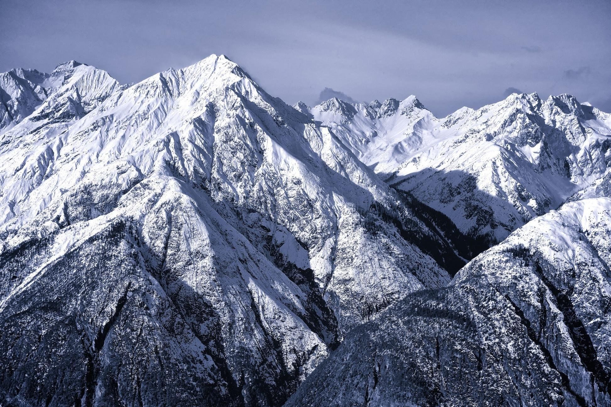 Николай гора фото