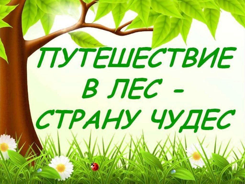 Чудеса без чудес. Презентация путешествие в лес. Надпись путешествие в лес. Лес чудес надпись. Путешествие d KTC презентация.