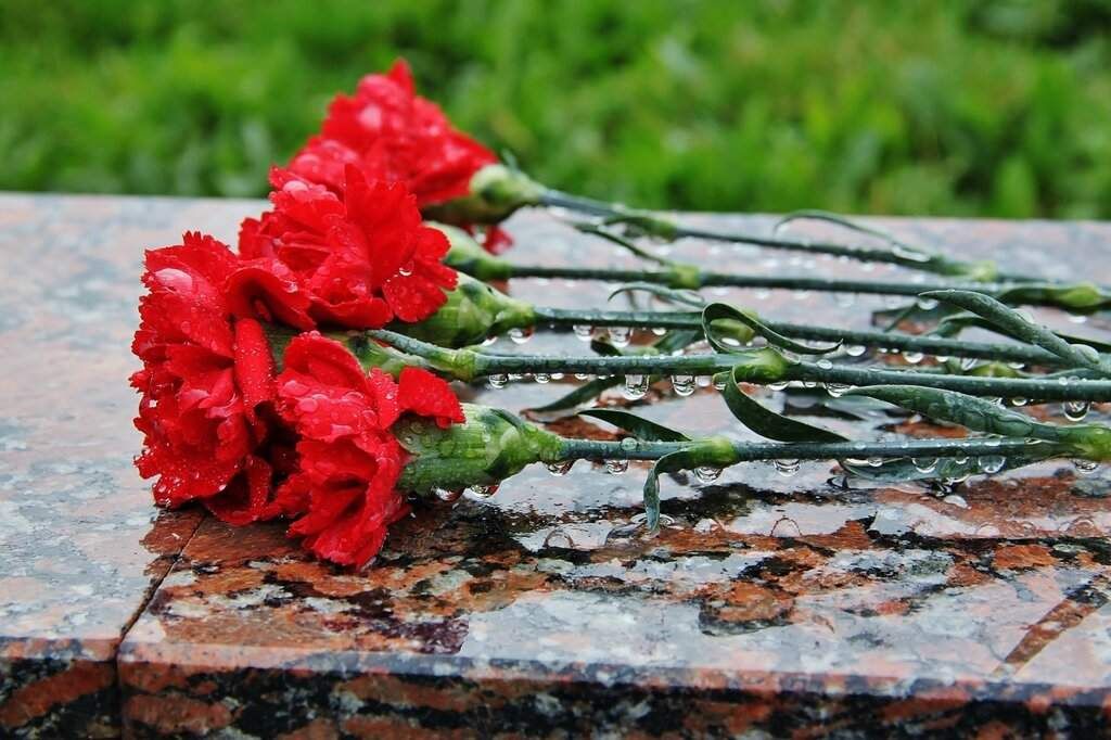 Цветок памяти картинки
