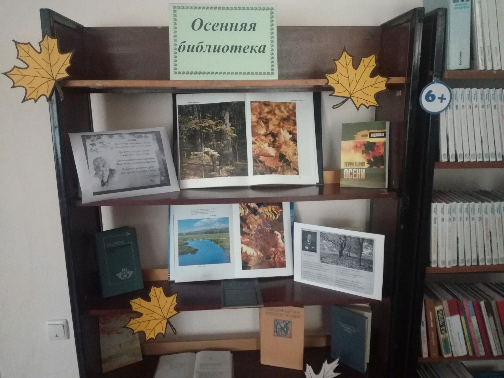 Осенняя выставка в библиотеке. Осенние книжные выставки в библиотеке. Осенние книжные выставки в библиотеке. Книжные выставки в библиотеке. Выставка осень в библиотеке.