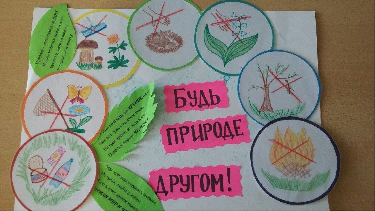 Экология в первой группе. Экологический плакат. Рисунок берегите растения. Экология для дошкольников. Плакат на тему берегите растения.