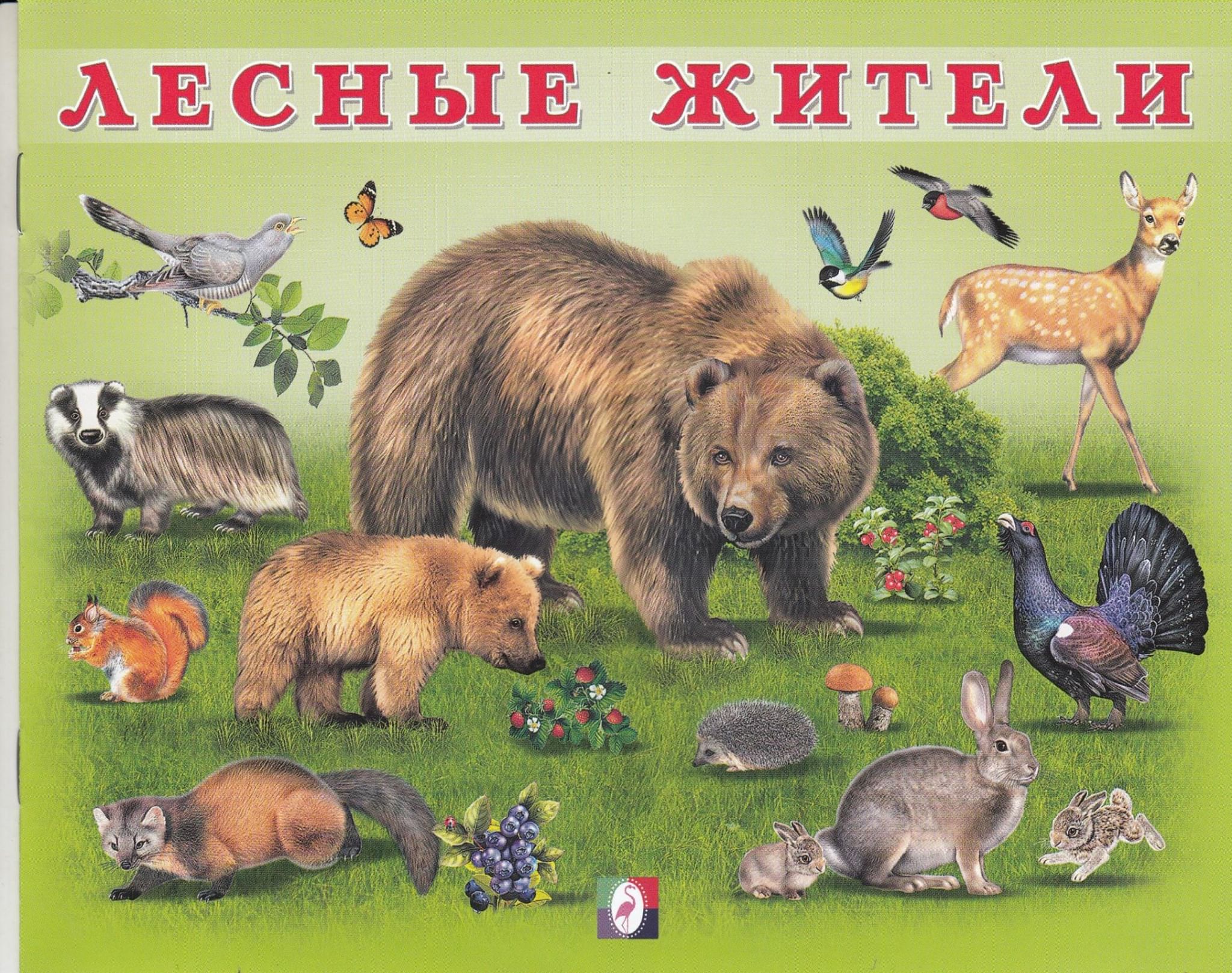 Картинки с лесными животными