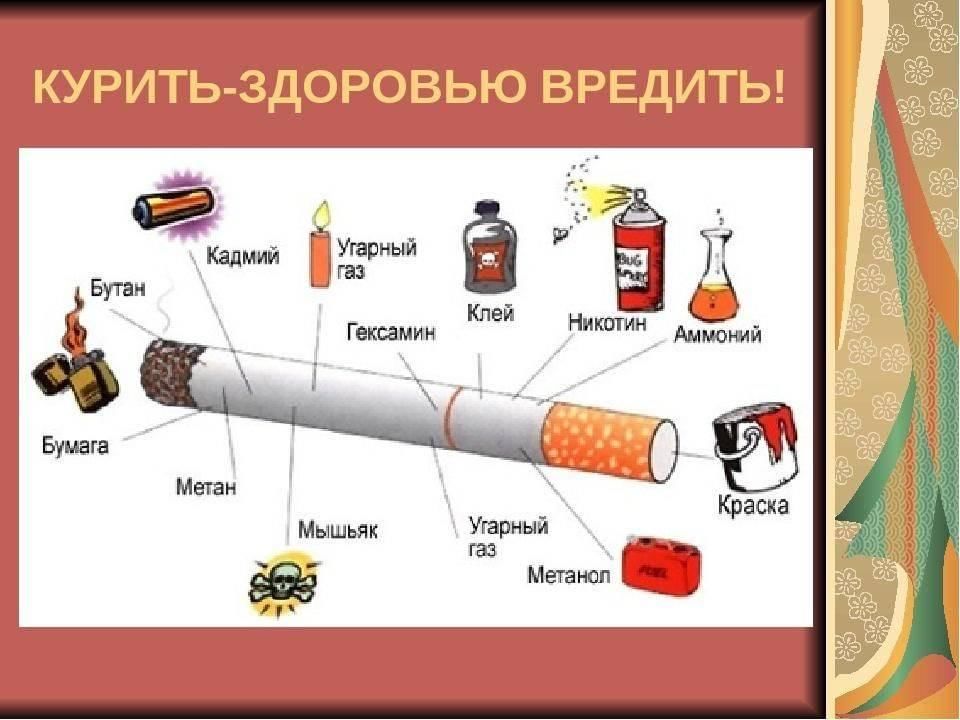 Вред курения на организм человека проект 9 класс