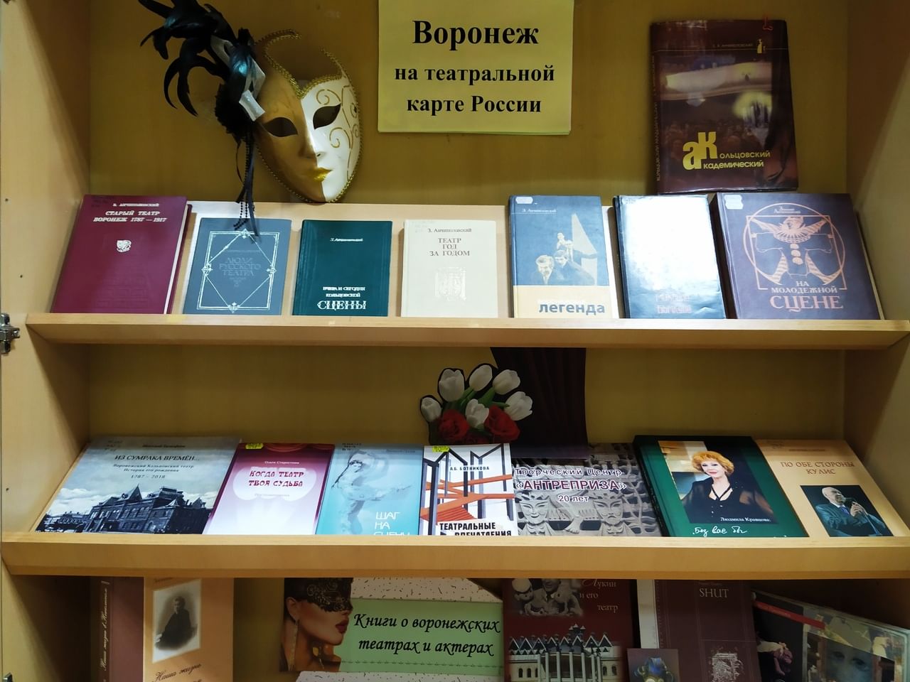 День театра выставка в библиотеке. Библиотека искусств им Пушкина Воронеж. Волшебный мир театра книжная выставка. Выставка к Дню театра в библиотеке. Пушкин библиотечная выставка.