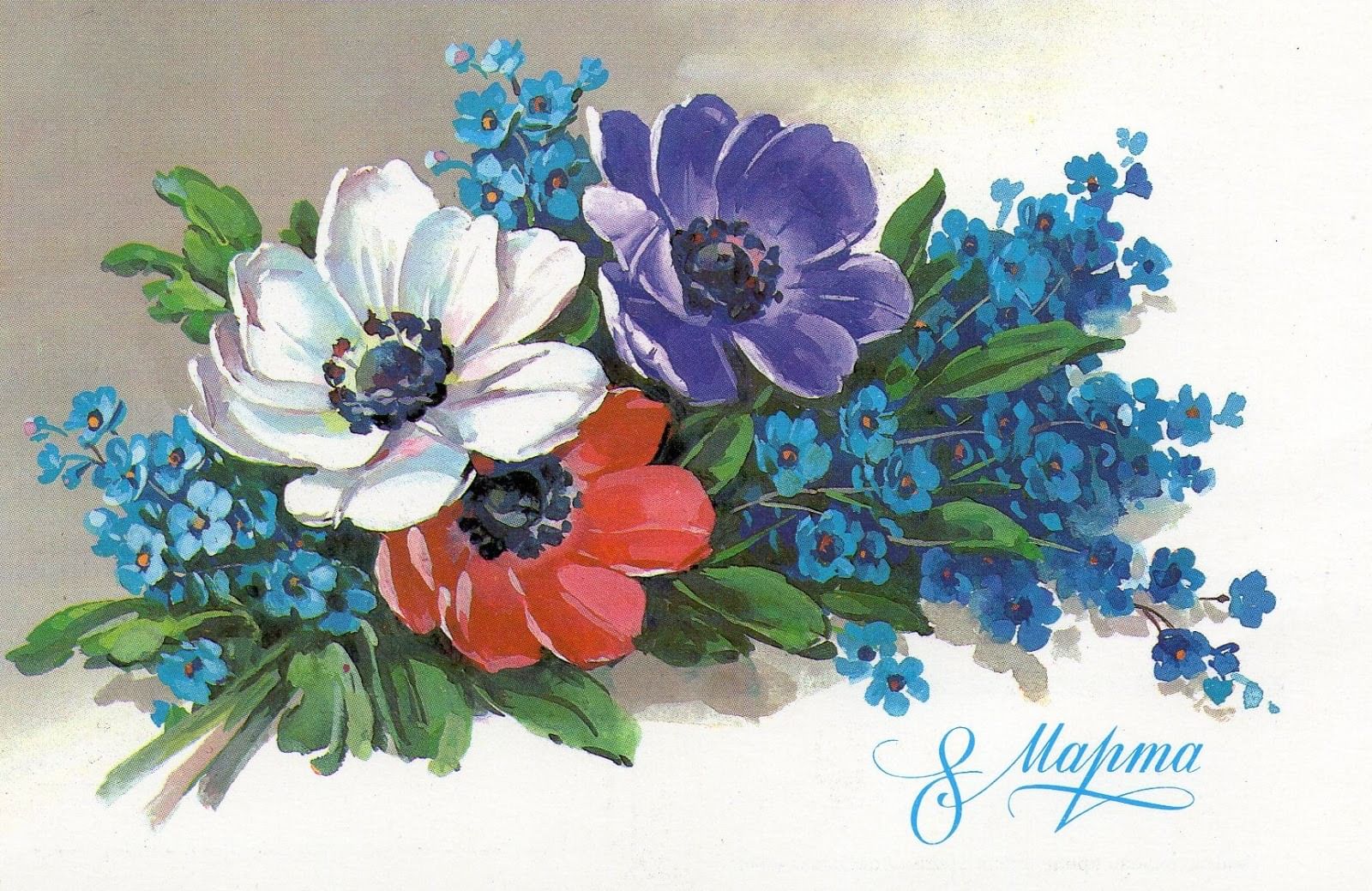 Цветы ссср