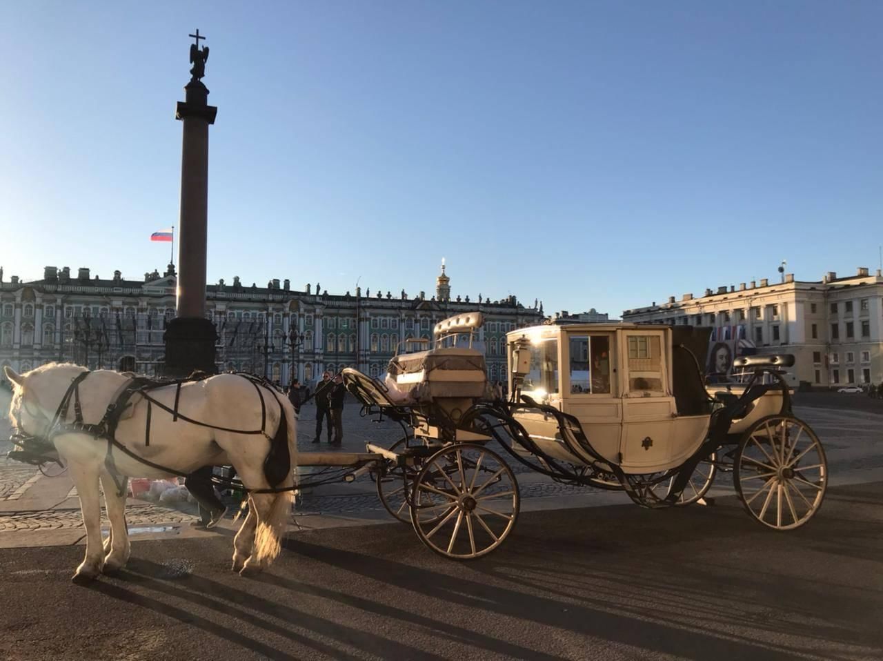 Пешие экскурсии по санкт петербургу. Михайловский сквер в Санкт-Петербурге. Марсово поле в Санкт-Петербурге выставка. Михайловский мост в Санкт-Петербурге.