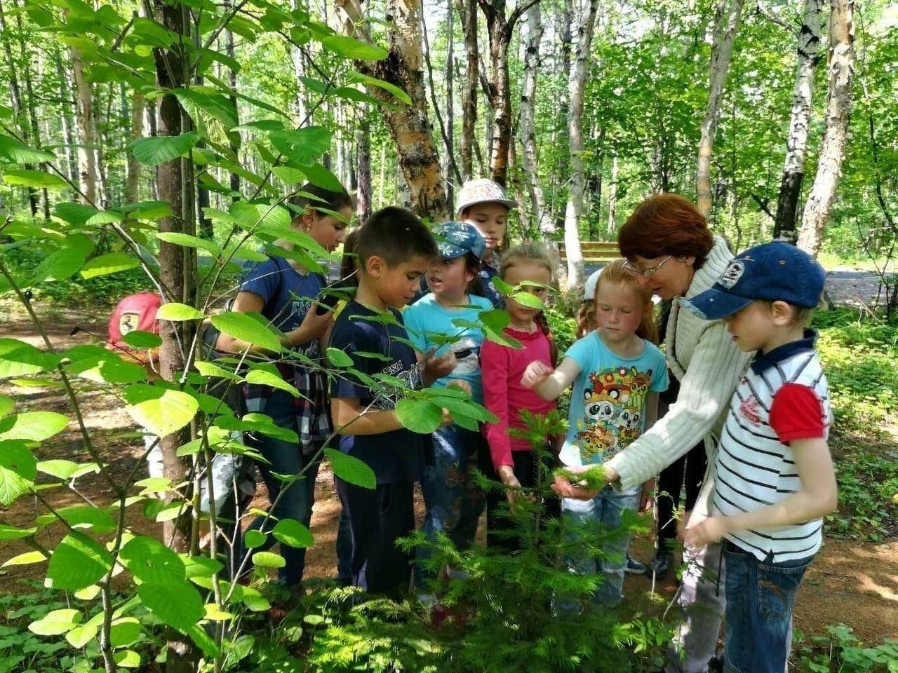 Экскурсия в лес. Школьная экскурсия в природу. Дети на экскурсии на природе. Дошкольники на экскурсии на природе. Экскурсия на природу в ДОУ.