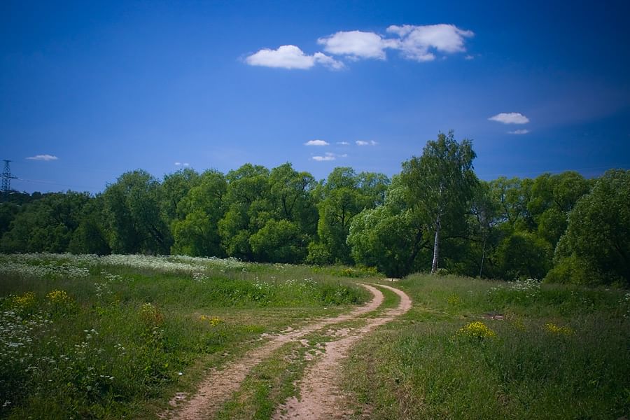 Край родной фото картинки