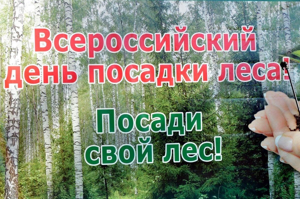 Всероссийская акция «День посадки леса» 2024, Тюлячинский район — дата и  место проведения, программа мероприятия.