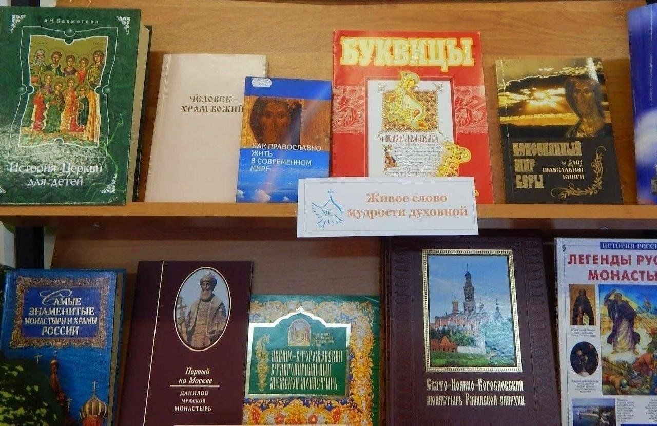 Книгу прочитали 2024