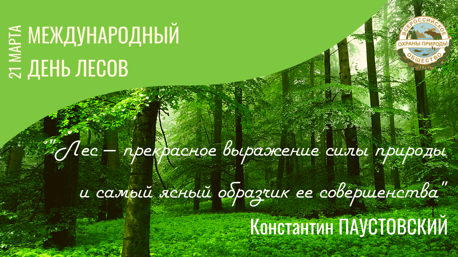 Международный день лесов фото