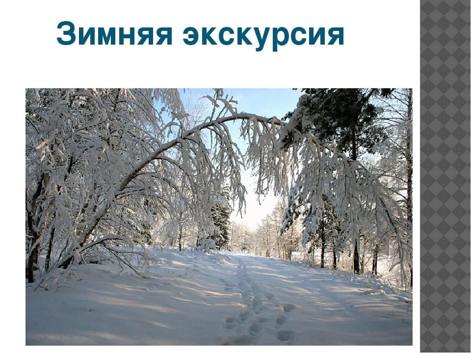 Проект 3 класс прогулка по зимнему лесу