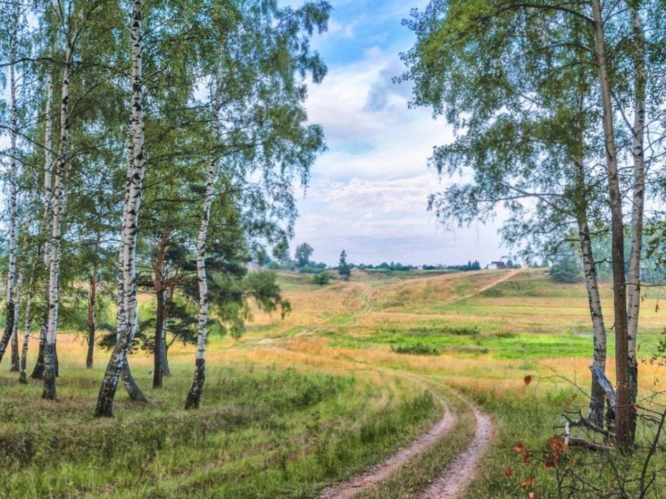 Природа родного края беларусь картинки