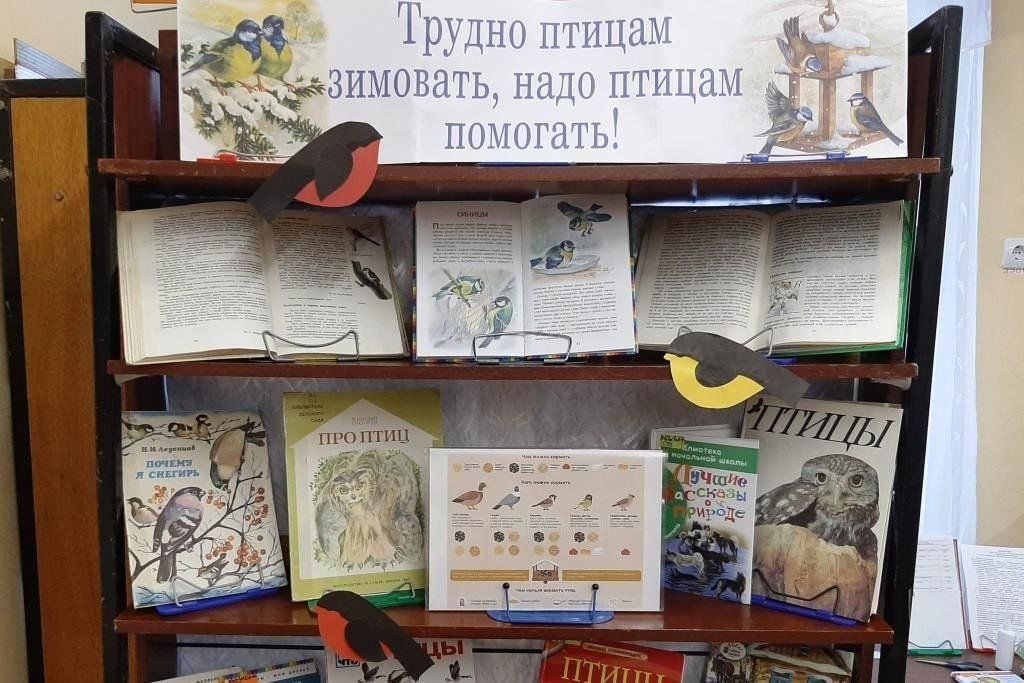 О дне птиц в библиотеке