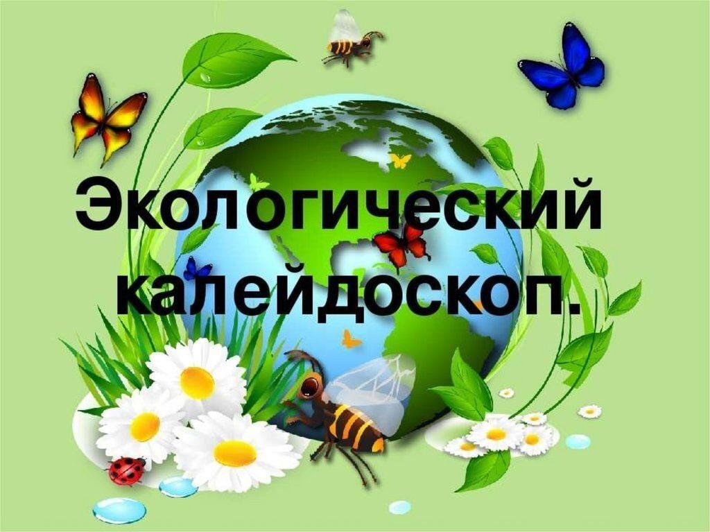 Класс экология. Экологический Калейдоскоп. Экологический Калейдоскоп для дошкольников. Экологический Калейдоскоп для начальной школы. Экологический Калейдоскоп викторина.