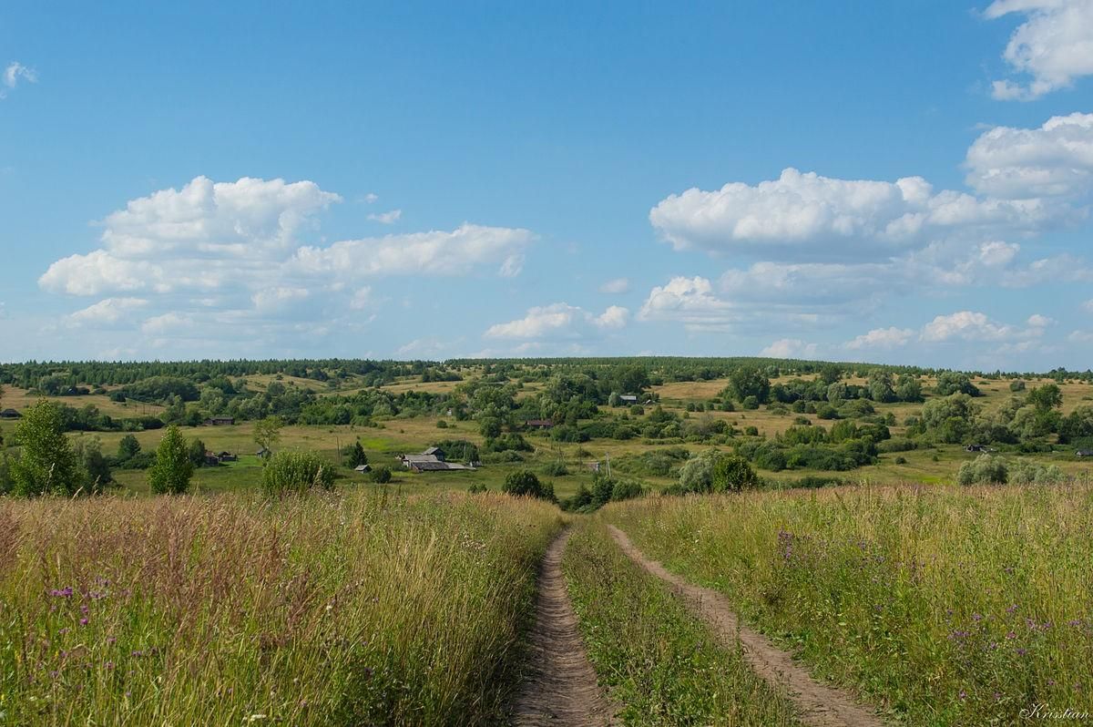 Болдинский район