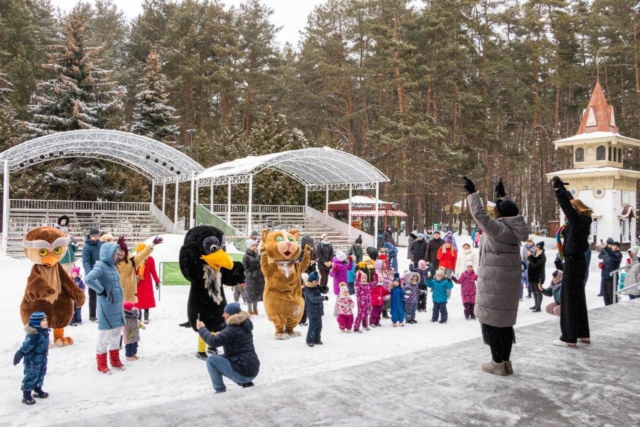 парк елочки в домодедово зимой