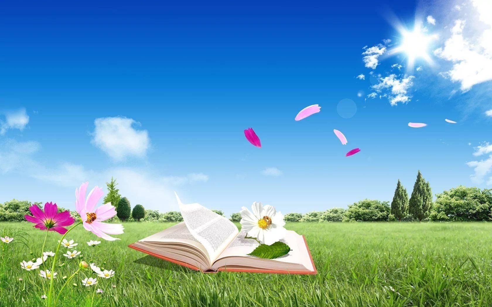 Лето книги картинки