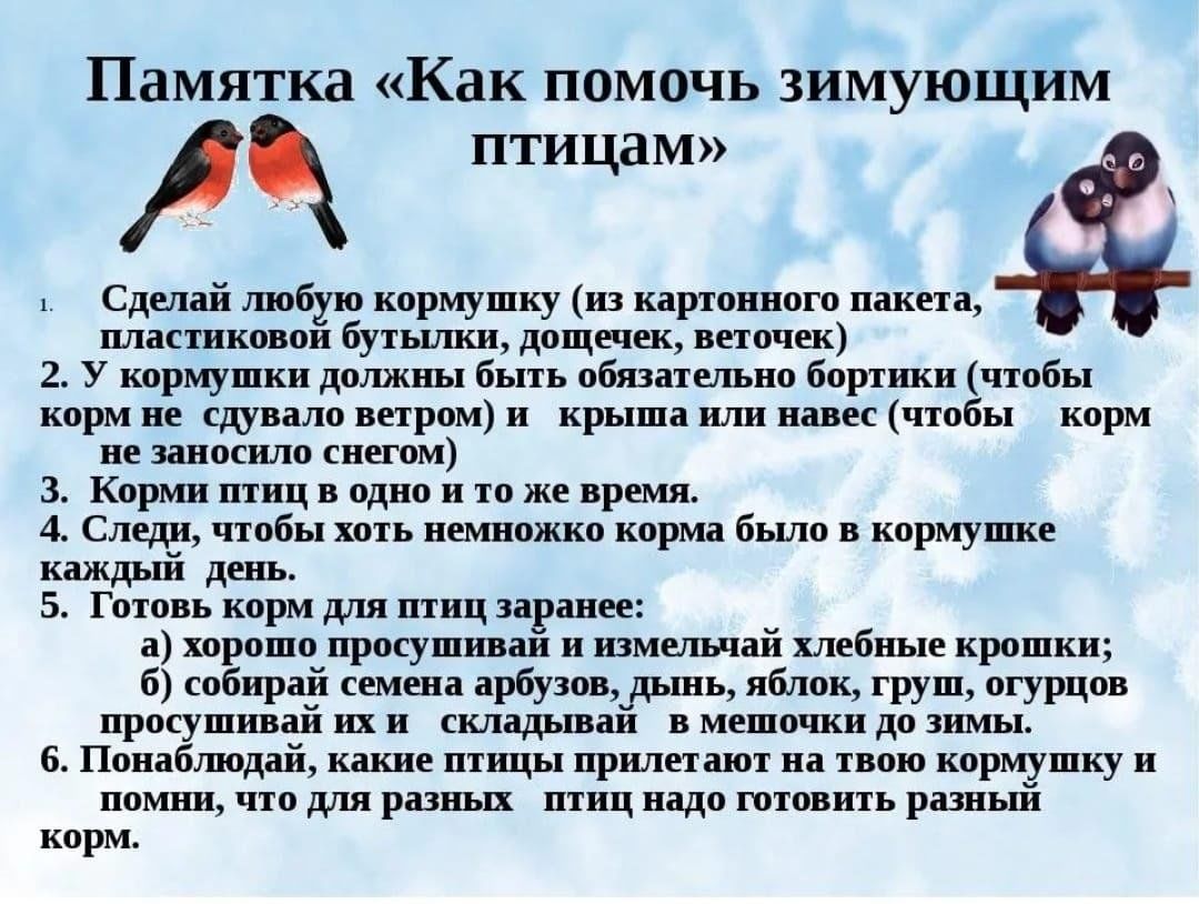 Проект 2 класс литературное чтение спасите птиц
