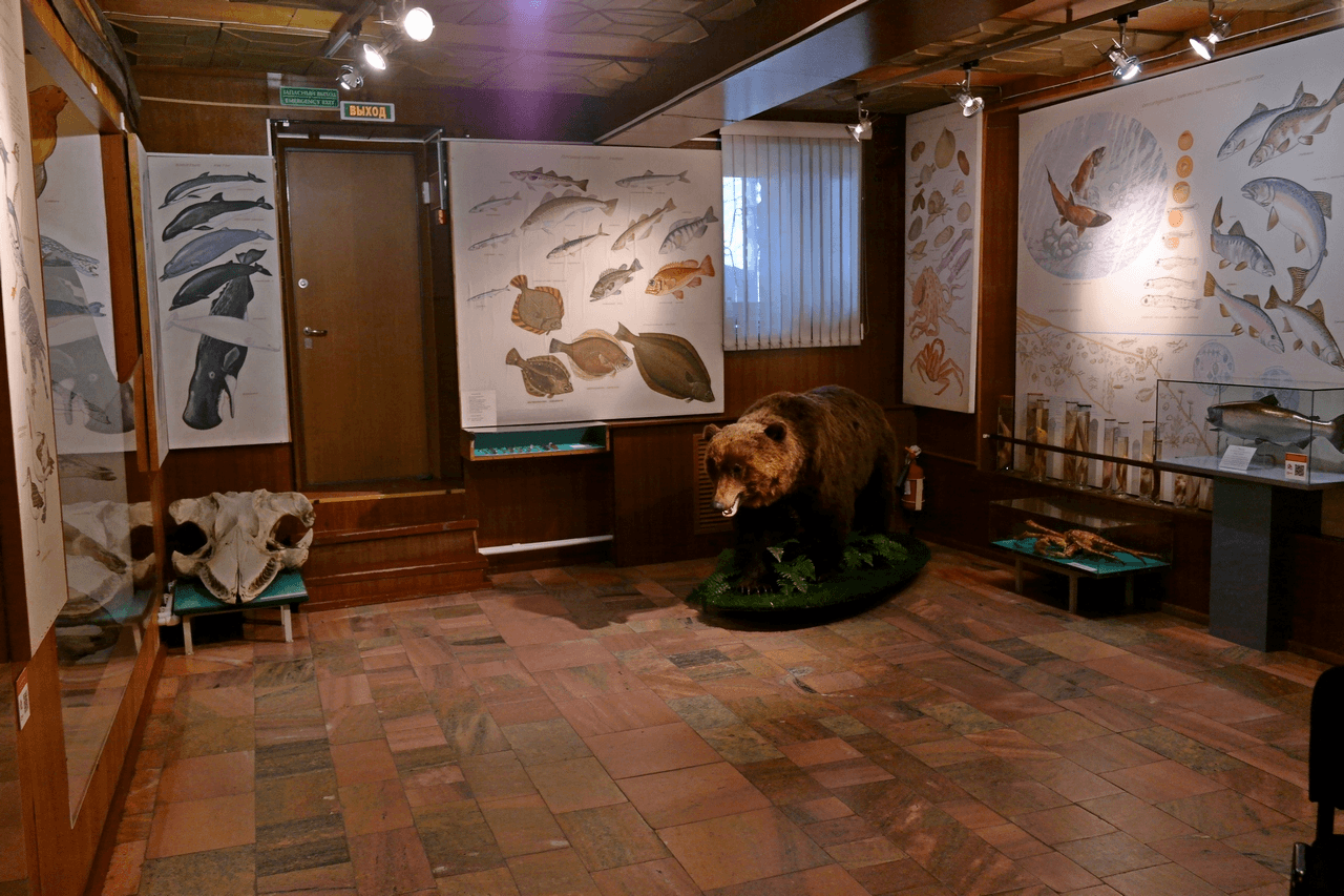 музеи в петропавловске