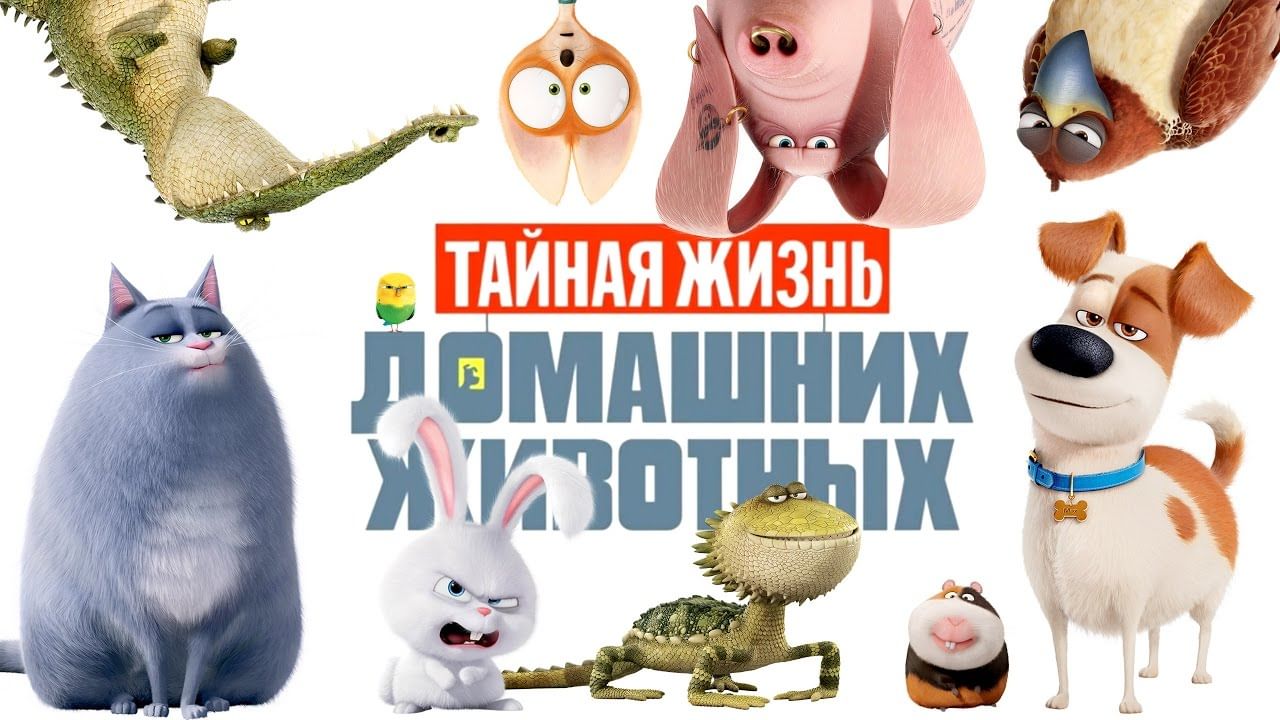 Картинки тайная жизнь домашних животных Мультпоказ 2020, Мытищинский район - дата и место проведения, программа мероприя