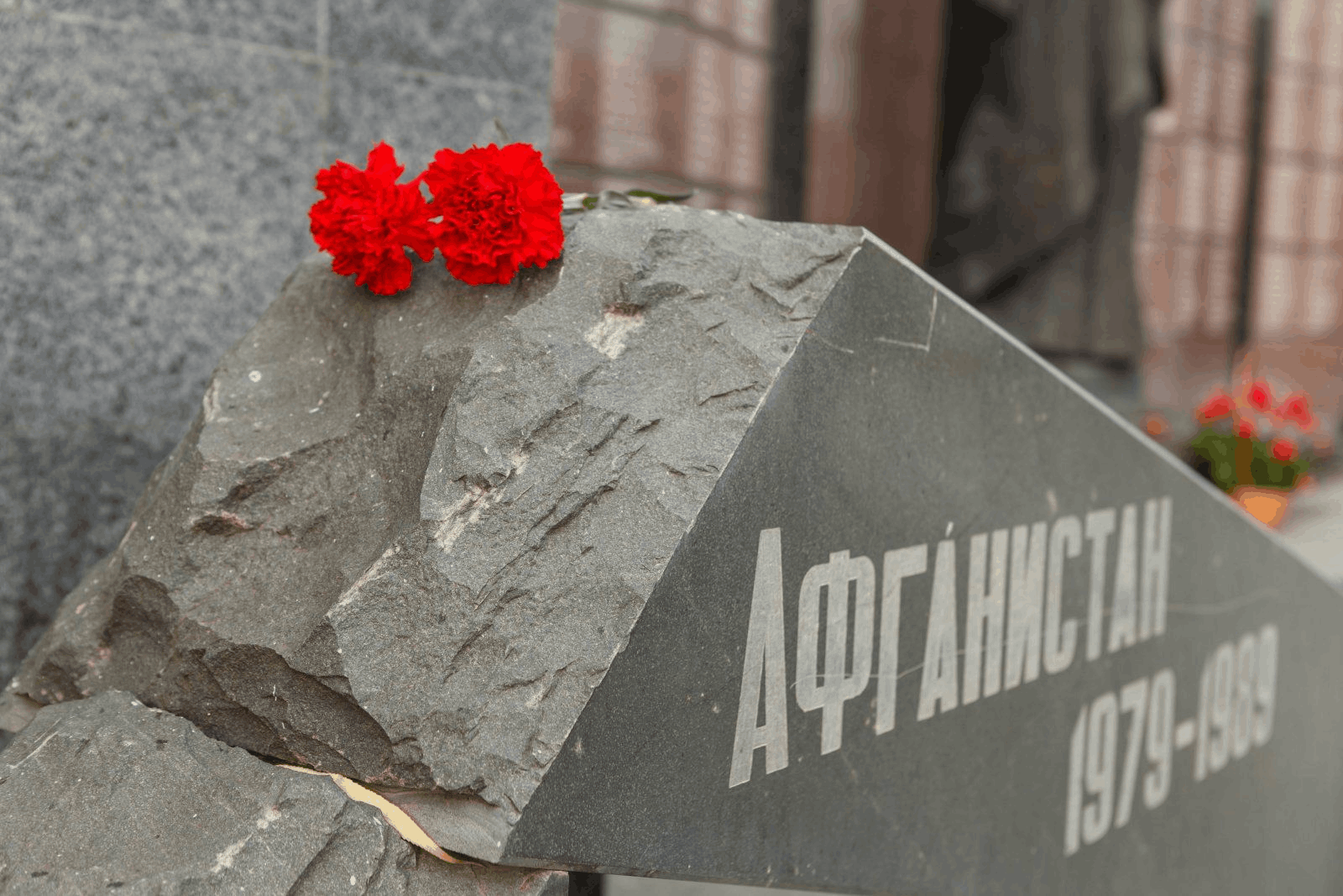 Живая память поколений картинки