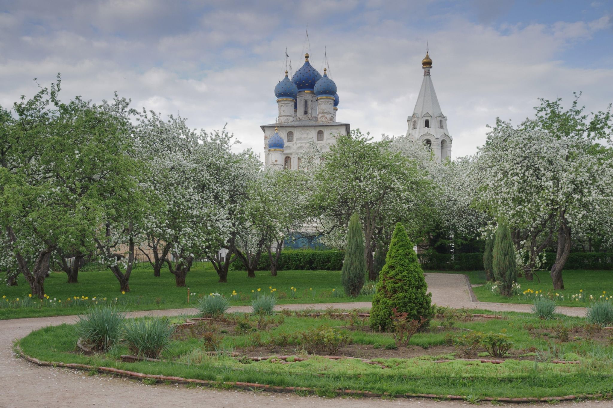 Цветущие сады в коломенском фото