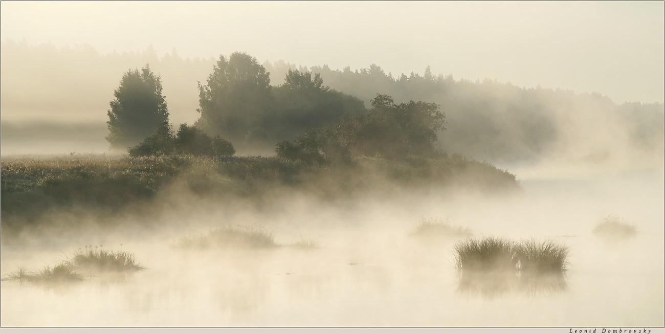Песня над рекой туман будто. Природные явления туман. Сильный туман на реке. Река туман анимация. Над рекой туман будто сизый.