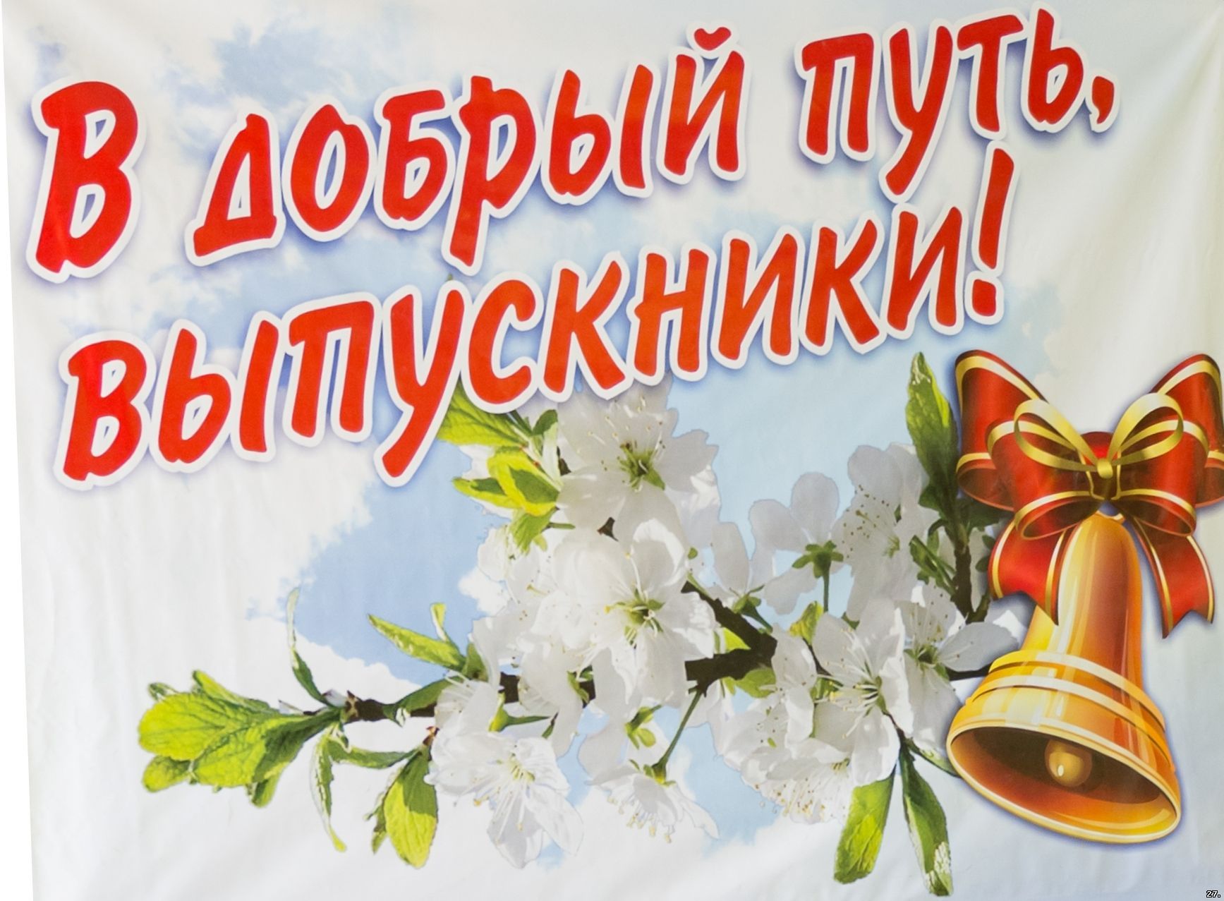 25 мая праздник картинки