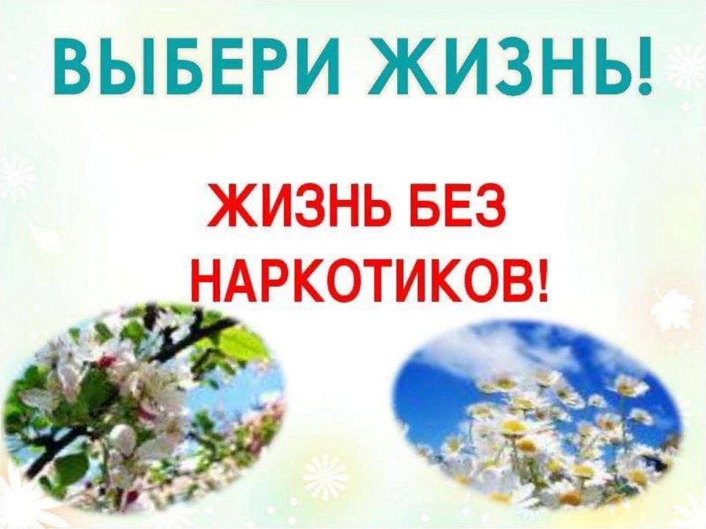 Нас выбирают мы выбираем во бору. Жизнь без наркотиков. Жизнь без. Мы выбираем жизнь без наркотиков. Я выбираю жизнь без наркотиков.